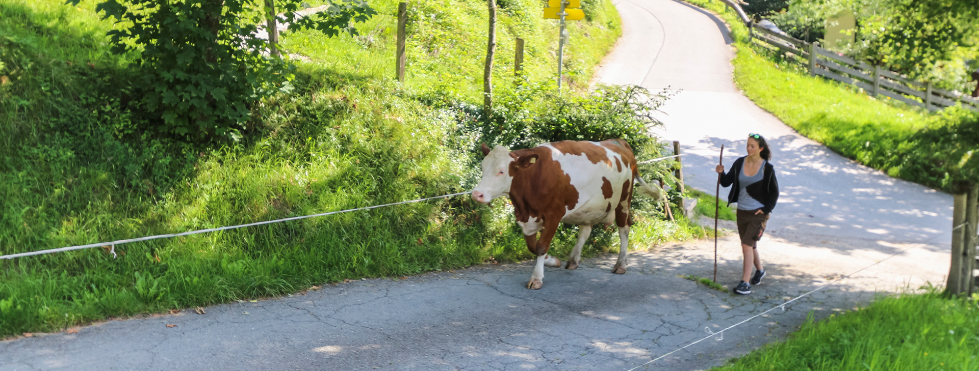 Urlaub Auf Dem Bauernhof Lofer 14